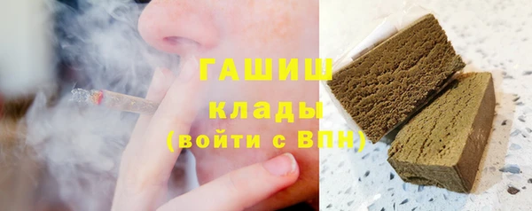 индика Новокубанск