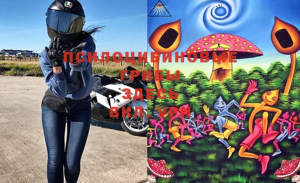 ПСИЛОЦИБИНОВЫЕ ГРИБЫ Алексеевка