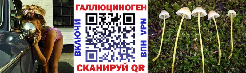 Псилоцибиновые грибы Magic Shrooms  Палласовка 